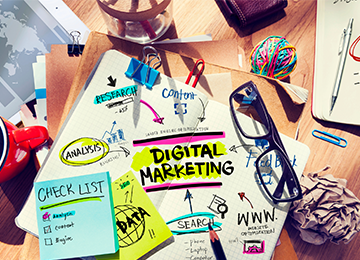 seo-case-studies
